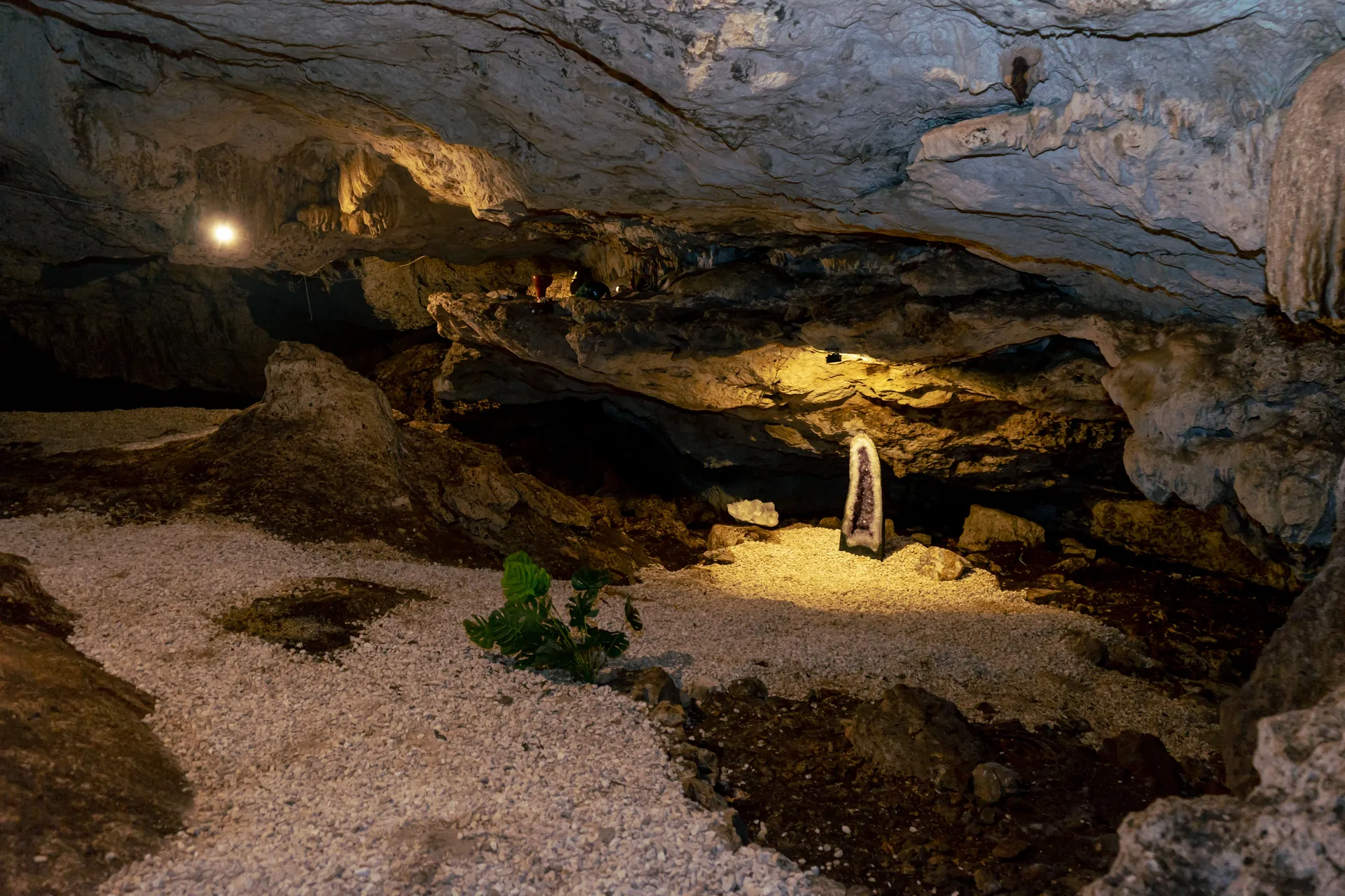 Retiros grupales Cenote privado usado para integración en retiros grupales