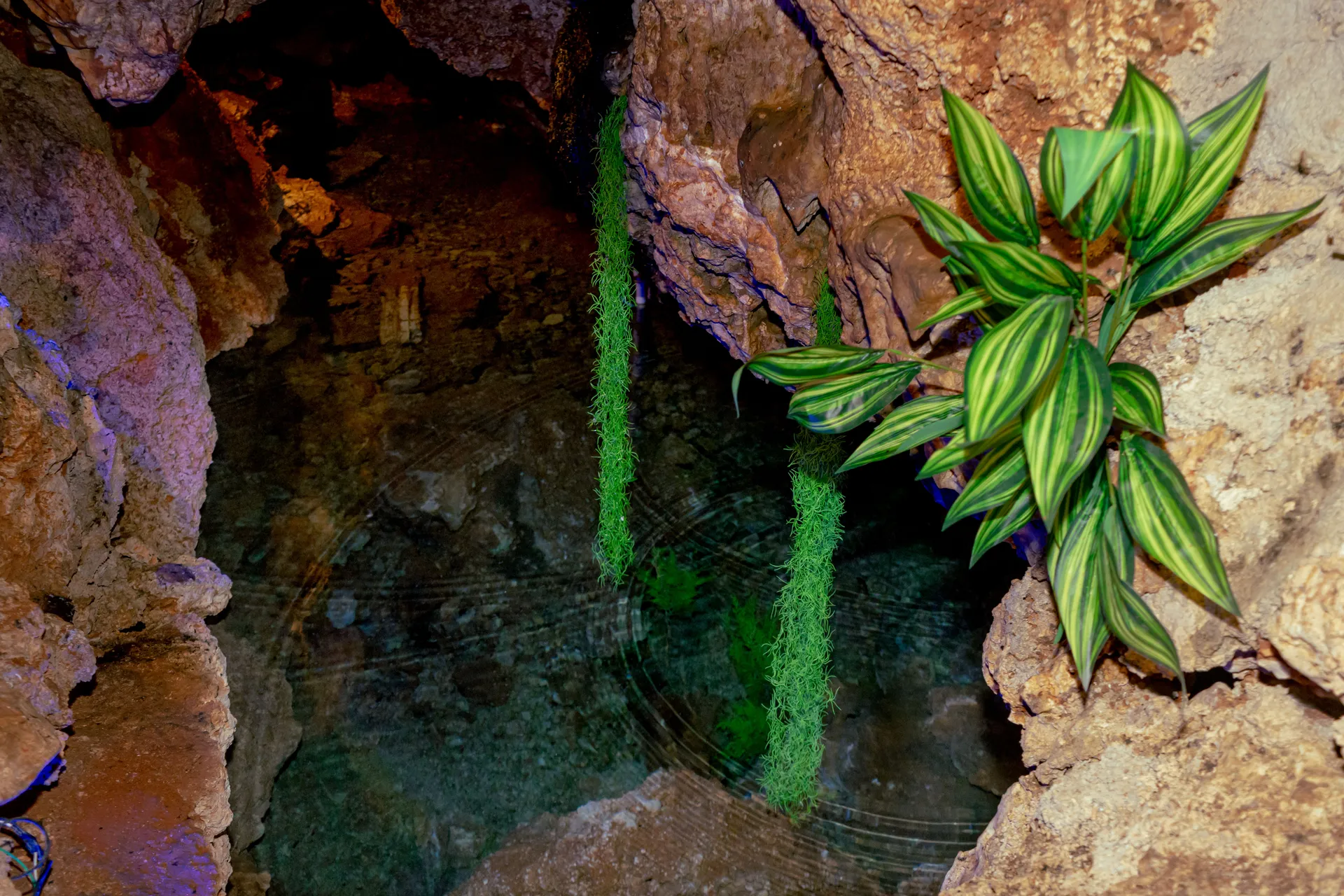 Inicio Cenote privado dentro de la caverna de Aldea Dzum Balam