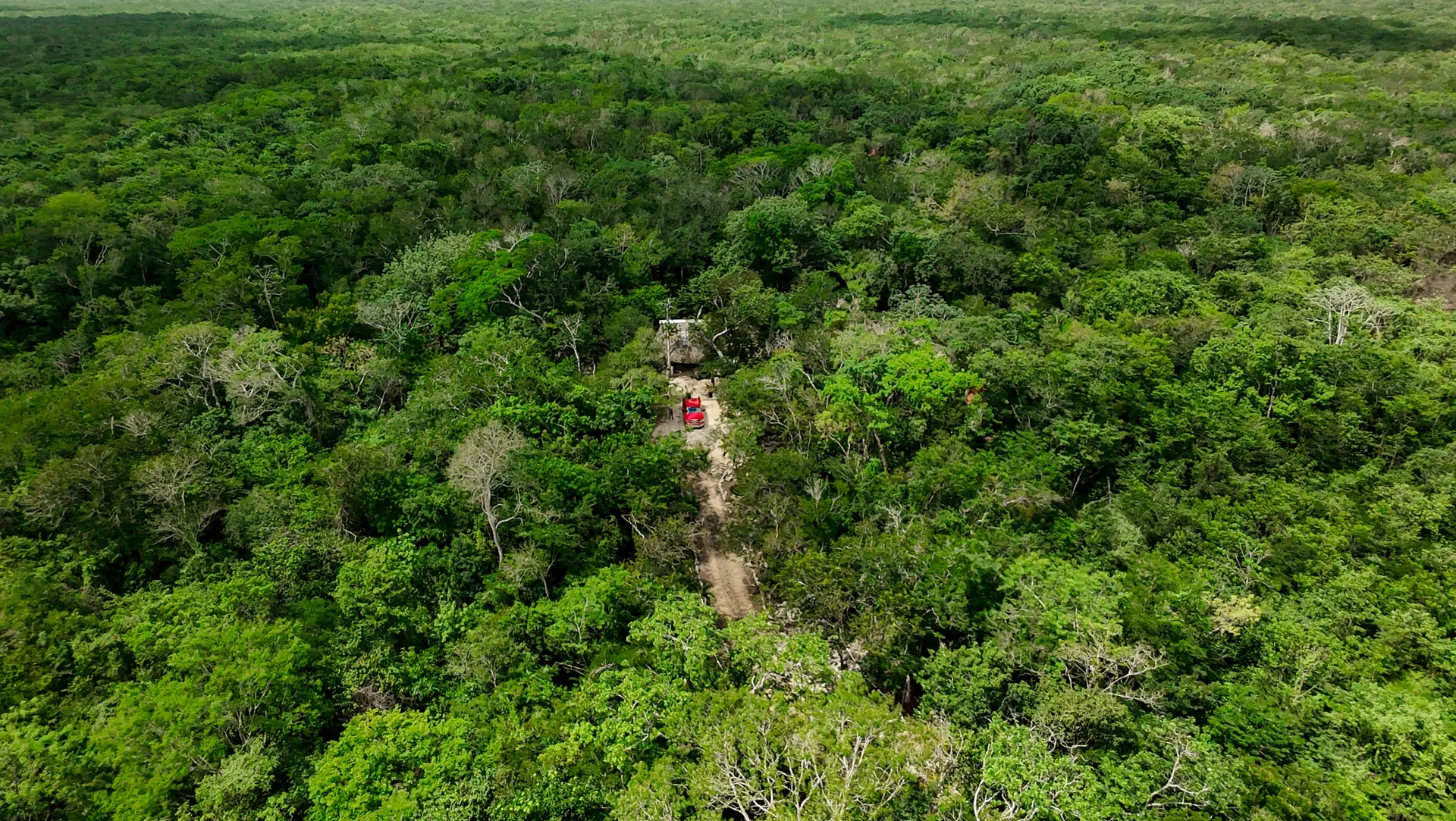 Selva de Kanxoc al amanecer, vista aérea de Aldea Dzum Balam en Yucatán